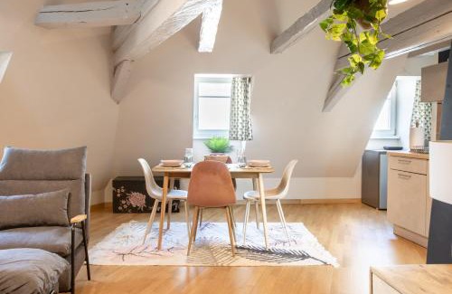 Mulhouse Apartment | Unique Duplex Retreat in the Heart of Mulhouse