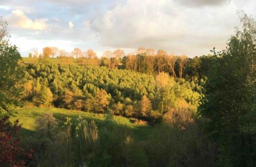 Esneux Apartment | Duplex with Spectacular Wooded View and Hot Tub Retreat