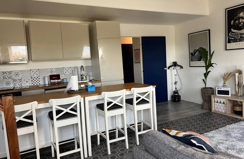 Saint-Jacques - Saint-Roch Apartment | Relaxing Duplex Cocooning with Spa and Hot Tub Access