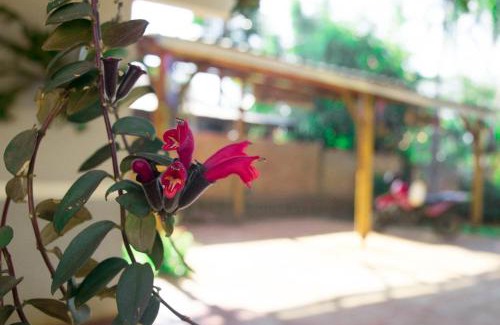 Puerto Iguazu Ski Chalet | Stunning Duplex Macuco - Child Friendly and Guest Rated 9/10
