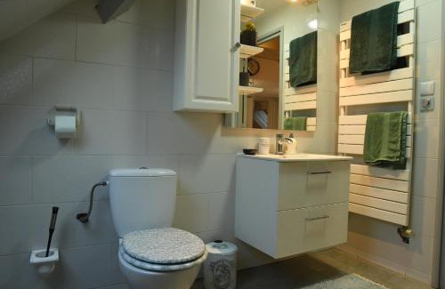 Mulhouse Apartment | Spacious Duplex with Comfort & Pet-Friendly Amenities
