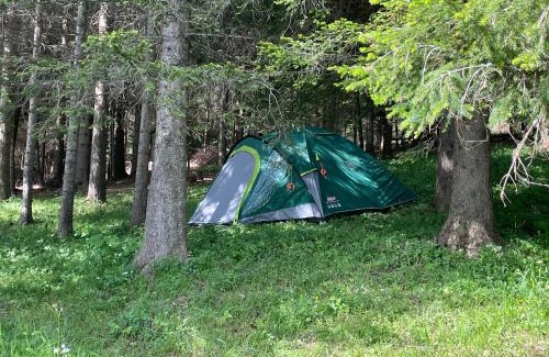 Razvrsje Apartment | Guest Rated: Durmitor Apartments - Family Friendly Retreat