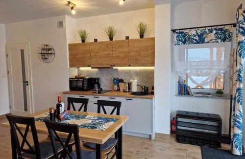 Duszniki Zdroj Apartment | Inviting Dusznickie Apartamenty with Scenic Ocean Views