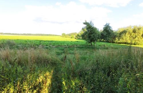 Rohoznice Apartment | Family-Friendly Retreat at Dvůr Dolenec - Rated 9.4/10