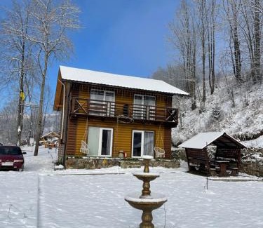 Pylypets Villa | Eco-Friendly Dva Braty with Hot Tub & Pet Friendly Stay