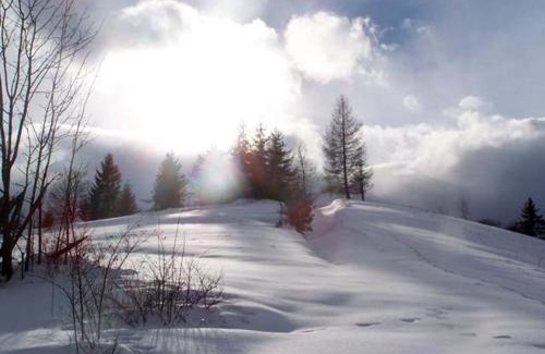 Osturna House | Discover Dvor Magduška: Spa Retreat with 9.6/10 Rating