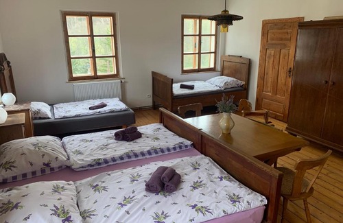 Salajna House | Pet-Friendly Getaway at Dvorek na správném místě