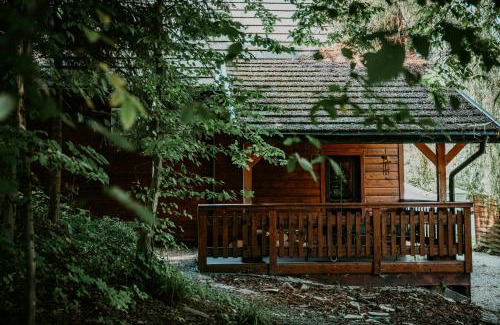 Przemysl Hotel | Pet-Friendly Dwór Wapowce: Rated 9/10 for Family Comfort