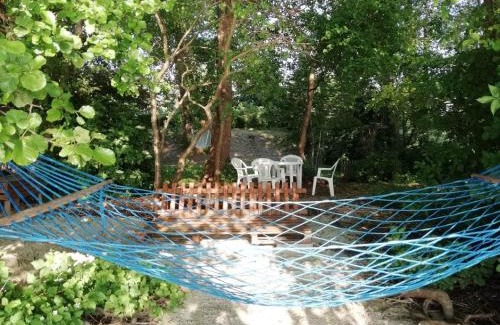 Lubkowo Apartment | Discover Dworek Lubkowo: Pet-Friendly Beachfront Retreat
