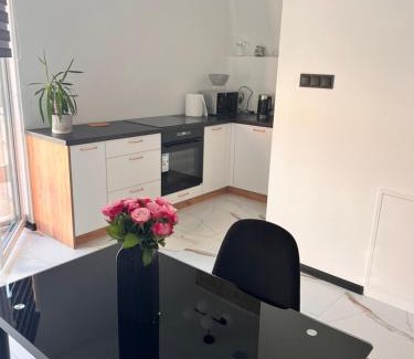Przemysl Apartment | Dworskiego 74 Apartament 1