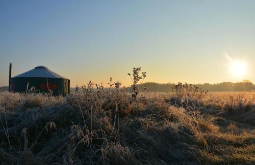 Herby Other | Top-Rated Family Retreat at Dzika Jurta na Łebkach