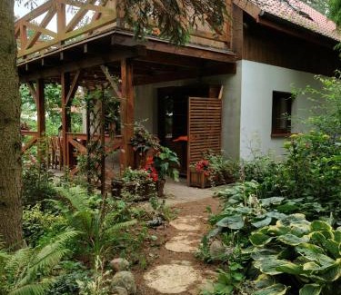 Zalewo House | Experience Dziki Brzeg Jezioraka: Scenic Oceanfront Retreat