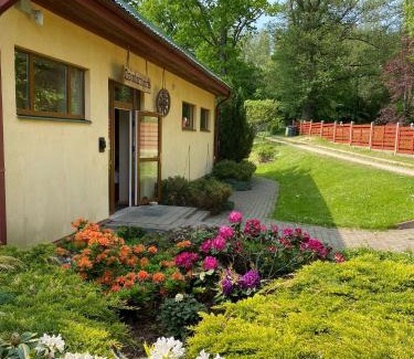 Regi House | Relax at Dzintara Pirts with Pool and Hot Tub Access