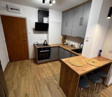 Orneta Apartment | Discover Dziupla: Guest Rated 9.1 & Family-Friendly Stay