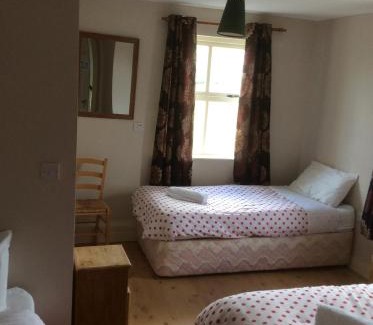Dingle House | Top-Rated Eask View Dingle with Kitchen Amenities