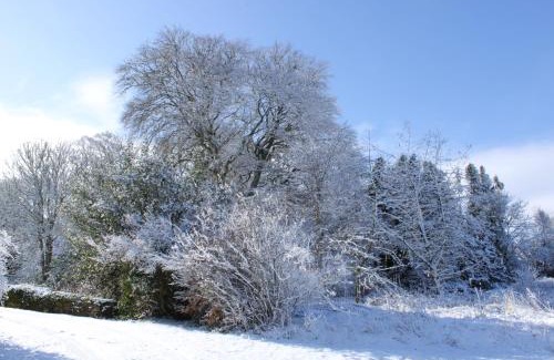 Insch Villa | Pet-Friendly Paradise at East Wing Lickleyhead Castle