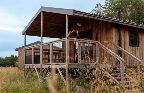Ecaussinnes Cabin | Ecau Lodge: Unique Stay Near Pairi Daiza with Top Amenities