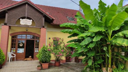 Villany House | Discover Eckhardt Vendégház: Pet-Friendly Oceanfront Retreat