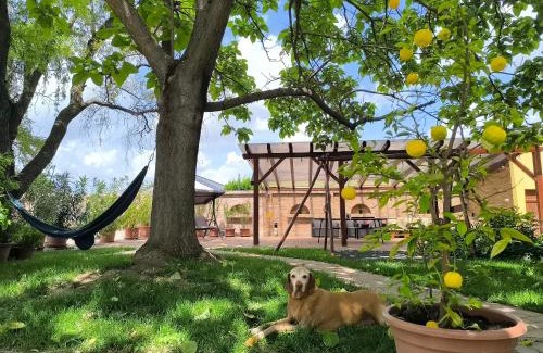 Villany House | Discover Eckhardt Vendégház: Pet-Friendly Oceanfront Retreat