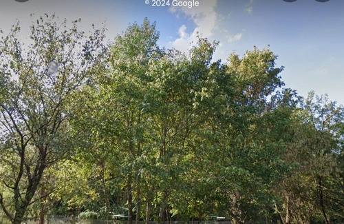 Murphysboro RV Rental | Cozy Eclipse Campsite 1: Family-Friendly with Breakfast