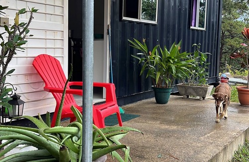 Nueva Concepcion Other | Eco-Friendly Mountain Cabana in San Ignacio for Families