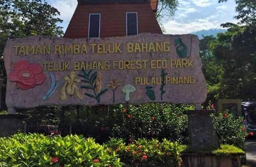 Teluk Bahang Hotel | Eco Capsule Resort: Family-Friendly Retreat in Penang
