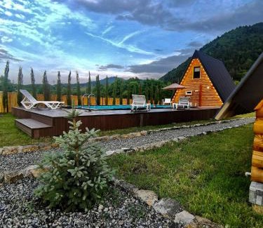 Likani House | Relaxing House Mziani Borjomi with Pool for Family Getaways