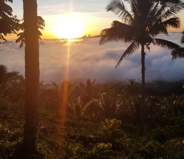 Mahinog House | Romantic Eco-Farm Retreat with Ocean Views in Camiguin