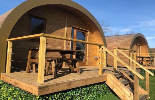 Norton Disney House | Eco-friendly Cabin 3: Perfect for Pets and Families