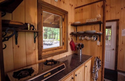 Saint-Etienne-De-Bolto Cabin | Eco-gîte with panoramic view: La Petite Nyctale