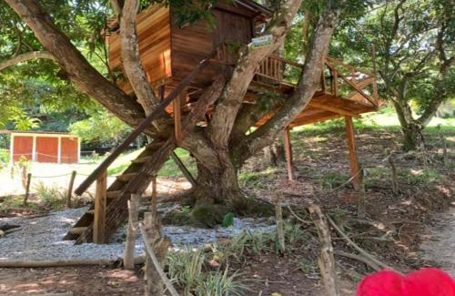 San Sebastian de Mariquita Other | Eco-Glamping Shalom: Guest Rated 9/10 with Pool & Hot Tub