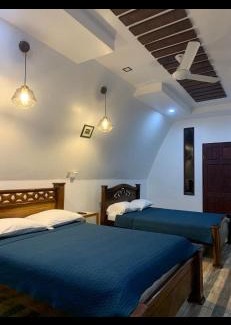 Cariari Apartment | Pet-Friendly Eco Hotel Villas del Tortuguero: Rated 8.4/10