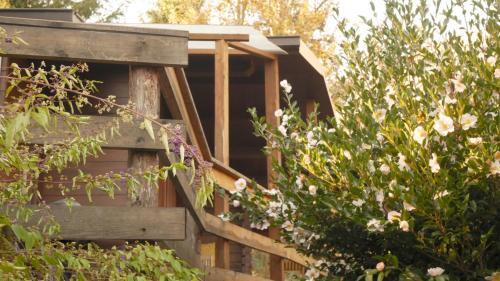 Bracchio Bed & Breakfast | Eco-Resort Parco Botanico Fiorlago: Pet-Friendly Retreat