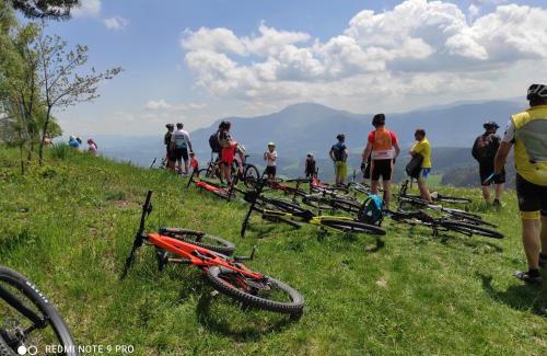 Prevalje House | Eco Tourist Farm Mikl: Pet-Friendly Retreat with Hot Tub