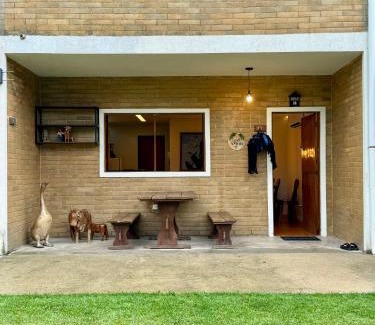 Bonito Apartment | EcoFlat: Exceptional Oceanfront Stay for Families & Pets