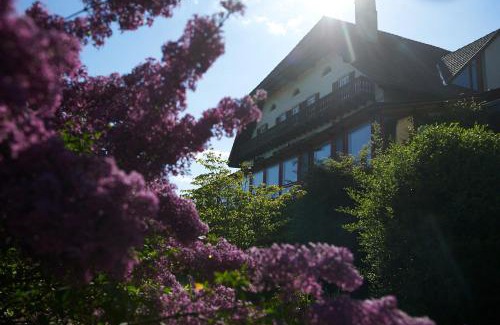 Montezillon Hotel | EcoHotel L’Aubier: Pet-Friendly Getaway with Spa & Dining