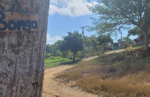 Piojo Hotel | Ecohotel La Reserva: Pet-Friendly Stay with Pool & Breakfast