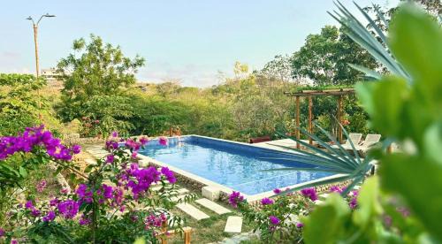 Usiacuri Hotel | Ecohotel Summer Usiacuri: Top-Rated Oceanfront Retreat