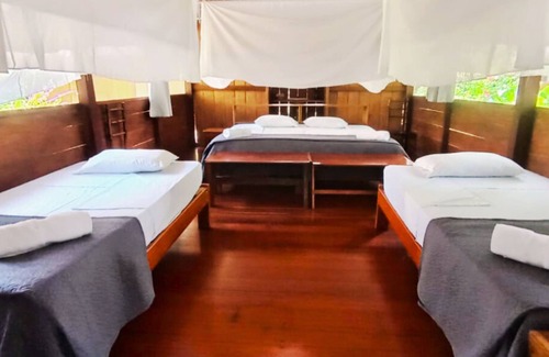 Tambopata Cabin | Guest Rated 10/10: Ecolucerna Lodge Tambopata Awaits
