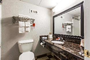Ardmore Hotel | Budget-Friendly Econo Lodge: Pet-Friendly & Accessible Stay