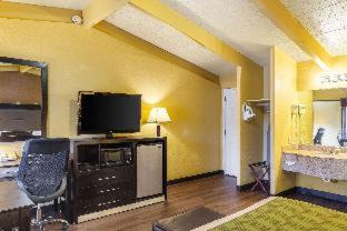 Chinchilla Cabin | Budget-Friendly Econo Lodge Summit with Pet & Child Amenities