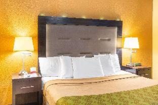 Chinchilla Cabin | Budget-Friendly Econo Lodge Summit with Pet & Child Amenities