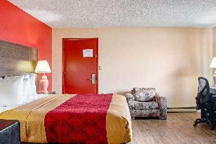 Cortez Cabin | Budget-Friendly Econo Lodge Cortez with Pool & Pet Amenities