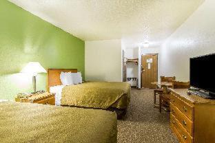 Pekin Hotel | Convenient Econo Lodge & Suites: Pet-Friendly Getaway