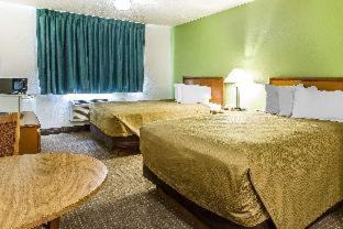 Pekin Hotel | Convenient Econo Lodge & Suites: Pet-Friendly Getaway
