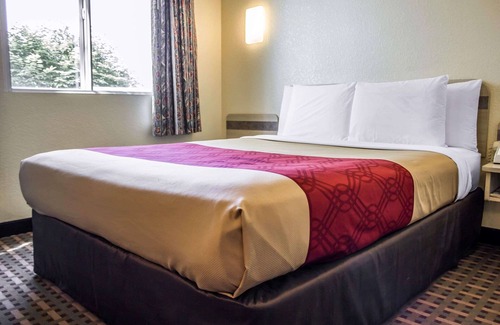 Meadville Hotel | Budget-Friendly Econo Lodge with Family Amenities and Dining