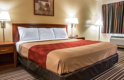 Paw Paw Hotel | Budget-Friendly Econo Lodge Paw Paw: Pet-Friendly Stays