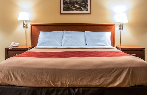 Paw Paw Hotel | Budget-Friendly Econo Lodge Paw Paw: Pet-Friendly Stays