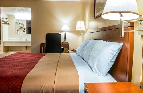 Paw Paw Hotel | Budget-Friendly Econo Lodge Paw Paw: Pet-Friendly Stays
