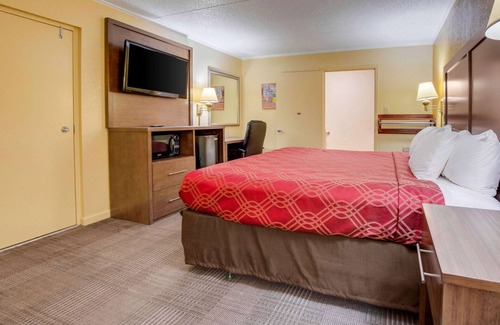 Lenoir City Hotel | Guest Rated Econo Lodge: Pool, Breakfast & Family-Friendly